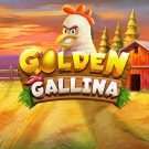 Golden Gallina