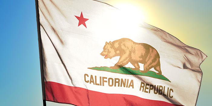 California flag waving in the air