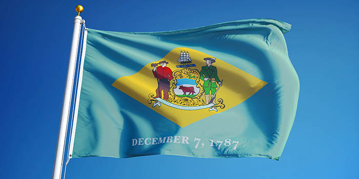 Delaware's official flag